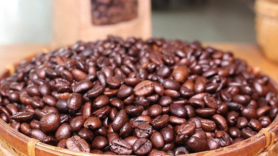 Giá cà phê hôm nay ngày 9/7/2023: Giá cà phê trong nước tăng tới 1.900 đồng/kg