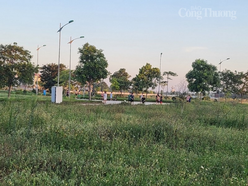 Công viên Quảng Xá giữa lòng thành phố Thanh Hóa xuống cấp, cỏ mọc um tùm