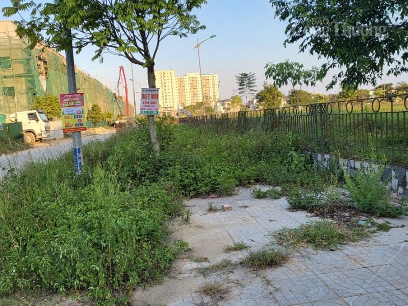 Công viên Quảng Xá giữa lòng thành phố Thanh Hóa xuống cấp, cỏ mọc um tùm