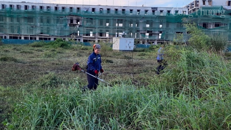 Bí thư Thành ủy TP. Thanh Hóa chỉ đạo cắt cỏ, sửa chữa Công viên Quảng Xá