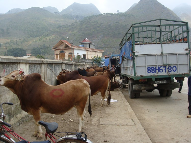 Hà Giang: Đẩy mạnh phát triển các sản phẩm OCOP chủ lực theo hướng hàng hóa