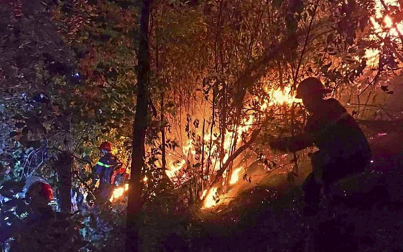 Hé lộ nguyên nhân vụ cháy rừng dữ dội ở Nam Đàn, Nghệ An