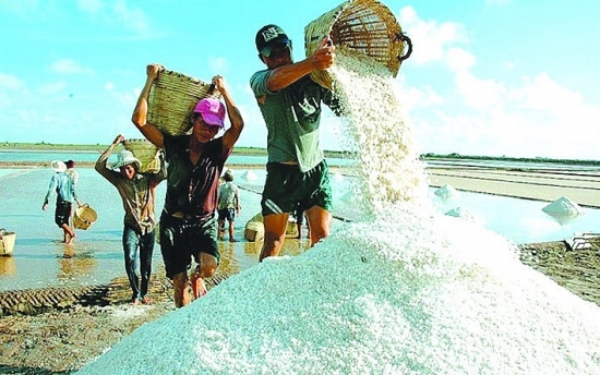 Nhiều tiềm năng xuất khẩu muối