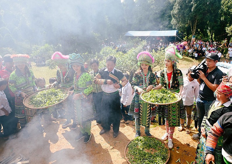 Yên Bái: Mở rộng đầu ra cho chè Shan tuyết Suối Giàng