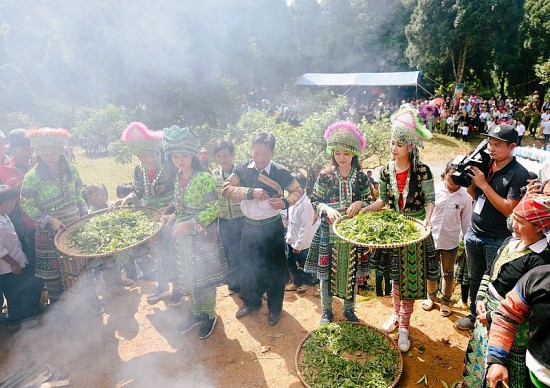 Yên Bái: Mở rộng đầu ra cho chè Shan tuyết Suối Giàng