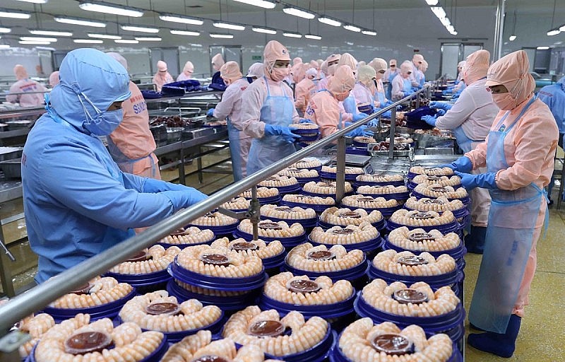 Viet Nam International Sourcing 2023: Cơ hội xúc tiến xuất khẩu thủy sản sang thị trường Bắc Âu