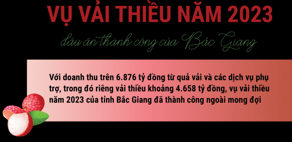 การเก็บเกี่ยวลิ้นจี่ในปี 2566: จุดเด่นของความสำเร็จของ Bac Giang