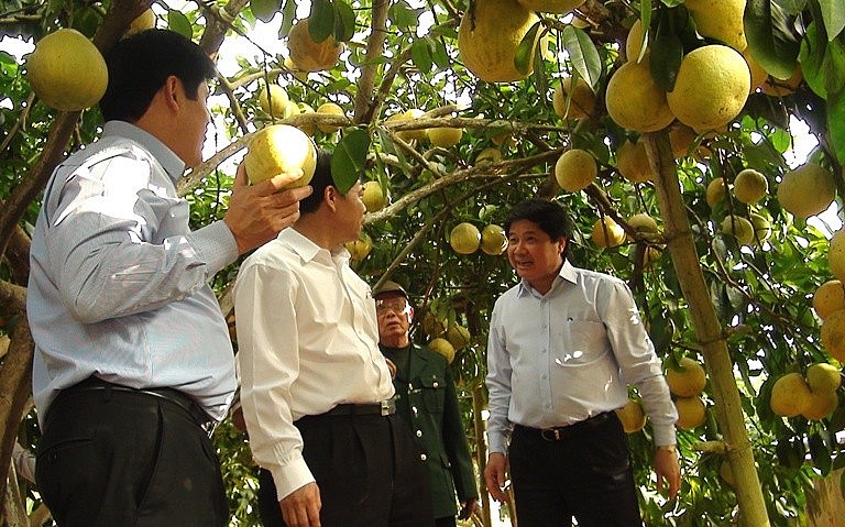 Hoà Bình: Đa dạng giải pháp xuất khẩu trái cây