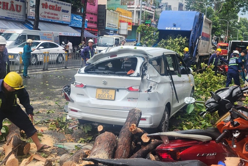 Cận cảnh ngọn cây rơi đè xe máy, ô tô sau cơn mưa lớn tại TP. Hồ Chí Minh
