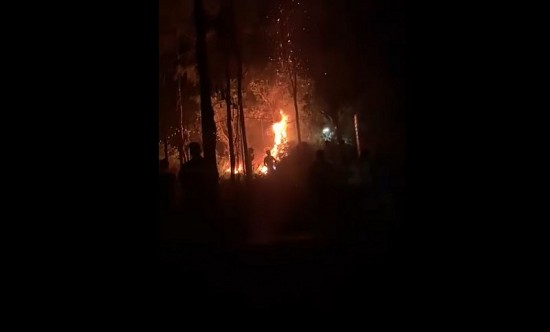 Hà Nội: Kịp thời dập tắt đám cháy rừng trong đêm ở Sóc Sơn