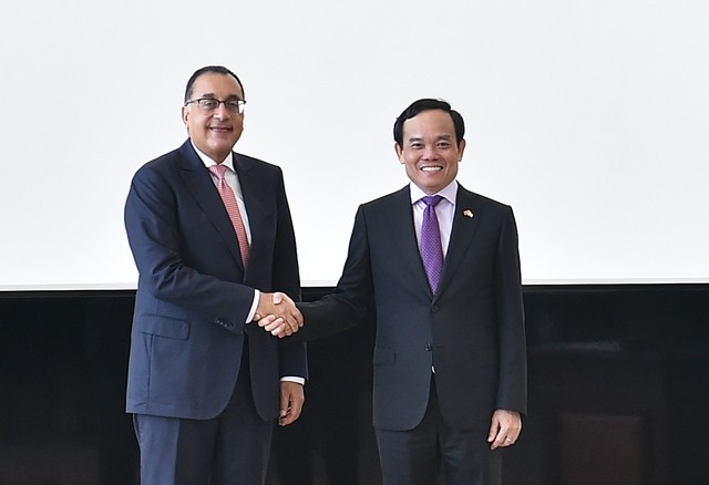 Phó Thủ tướng Chính phủ Trần Lưu Quang đã hội đàm với Thủ tướng Ai Cập Mostafa Madbouly