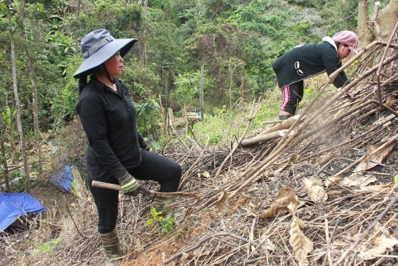 Thúc đẩy vai trò của cộng đồng trong bảo vệ và phát triển rừng bền vững