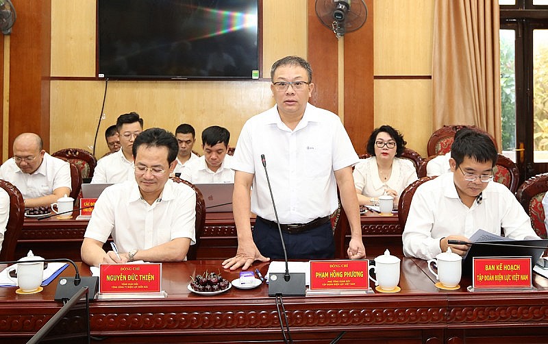 Phó Tổng giám đốc EVN – Phạm Hồng Phương phát biểu tại buổi làm việc