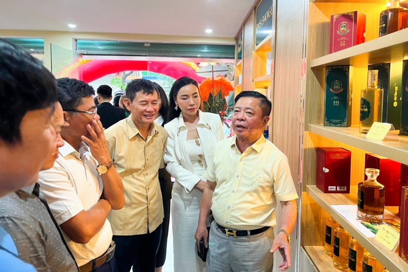 Cùng chung tay để sớm thành lập Hiệp hội sản xuất sâm Việt Nam