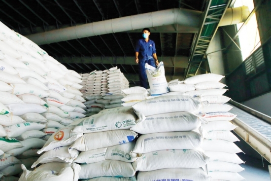 Sáng nay 4/8, Bộ Công Thương tổ chức Hội nghị điều hành xuất khẩu gạo tại TP. Cần Thơ