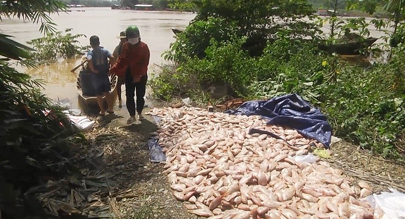 Đồng Nai: Hàng trăm tấn cá nuôi lồng bè bị cuốn trôi, thiệt hại nghiêm trọng