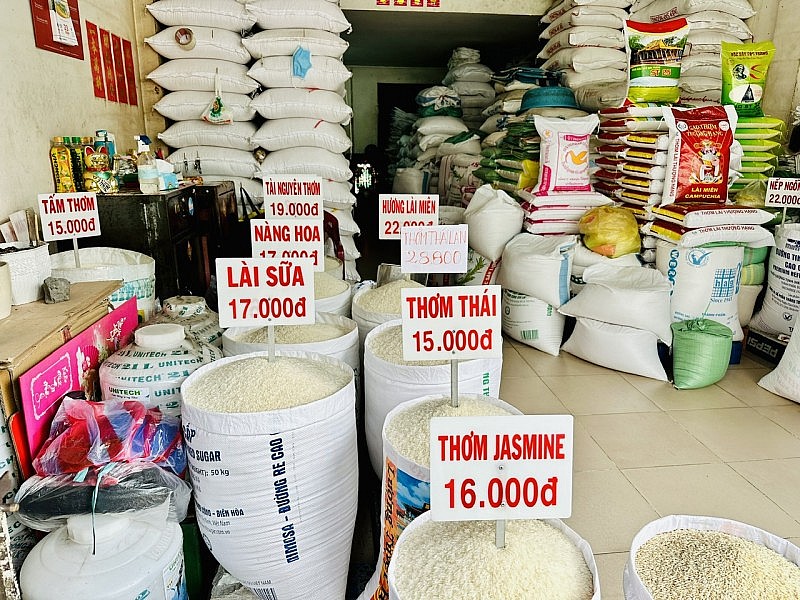 Các nước cấm xuất khẩu gạo, doanh nghiệp Việt hạn chế bán, tăng mua dự trữ