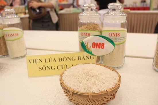 GS.TS Võ Tòng Xuân: Giúp doanh nghiệp tiếp cận vốn tận dụng thời cơ xuất khẩu gạo