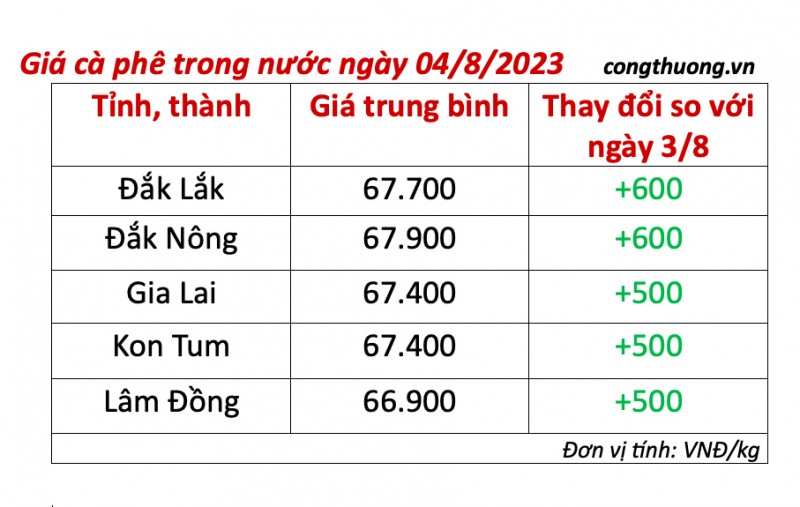 Giá cà phê hôm nay ngày 4/8/2023: Giá cà phê trong nước tiếp đà tăng; giá thu mua cao nhất tại Đăk Nông