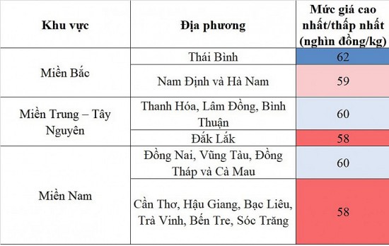 Giá heo hơi hôm nay ngày 4/8/2023: Đi ngang trên diện rộng