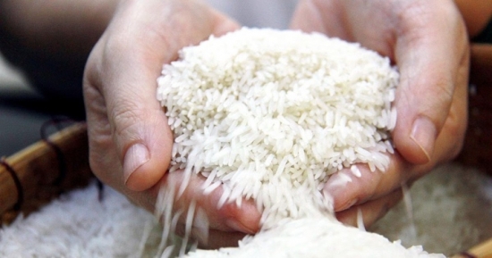 Giá gạo liên tục tăng, doanh nghiệp, đại lý chỉ dám "ôm" cầm chừng