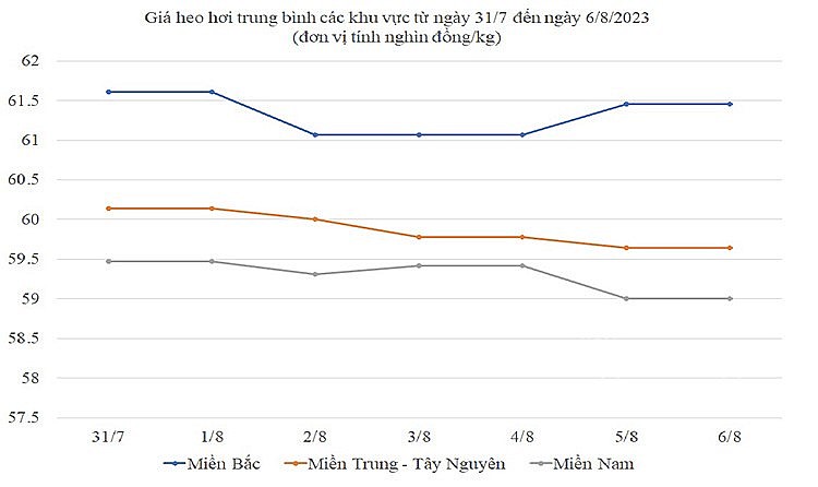 Giá heo hơi hôm nay ngày 6/8/2023: Ghi nhận mức cao nhất 63.000 đồng/kg