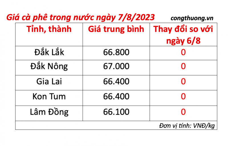 Giá cà phê hôm nay ngày 7/8/2023: Giá cà phê trong nước duy trì ở mức cao