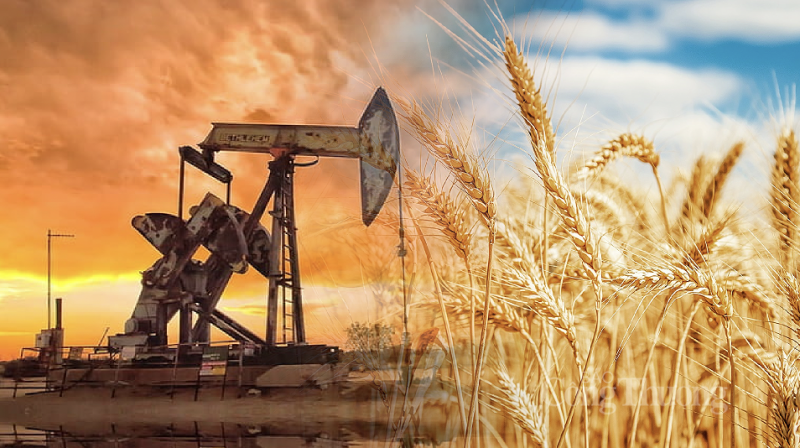 Thị trường hàng hoá hôm nay ngày 7/8/2023: Giá dầu WTI tăng lên 82,82 USD/thùng; Giá nông sản giảm