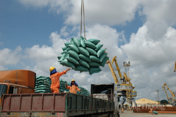 Liên tục lập đỉnh, giá gạo xuất khẩu Việt Nam cao nhất trong 15 năm | Báo Công Thương