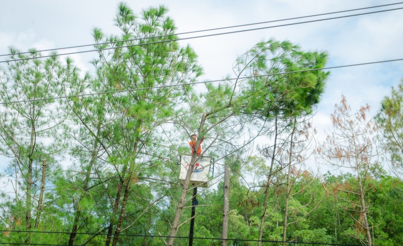 PC Thừa Thiên Huế: Triển khai giải pháp đảm bảo cấp điện mùa mưa bão 2023