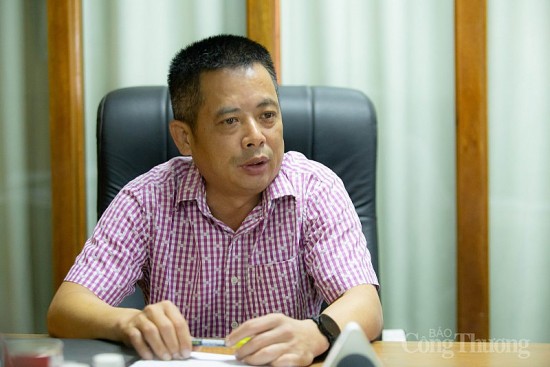 Chủ tịch Sâm Sâm Group nói gì về việc vận động thành lập Hiệp hội sản xuất sâm Việt Nam?
