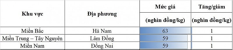 Giá heo hơi hôm nay ngày 10/8/2023: Tăng nhẹ 1.000 đồng/kg