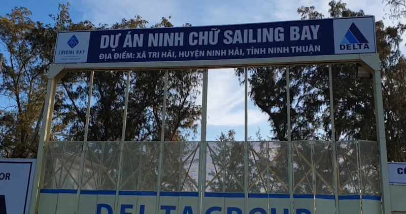 Ninh Thuận: Khẩn trương xử lý lâm sản tận dụng tại dự án Ninh Chữ Sailing Bay
