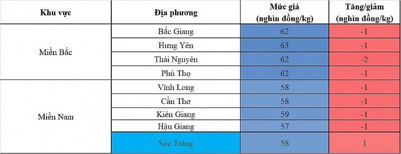 Giá heo hơi hôm nay ngày 11/8/2023: Giảm sâu nhất 2.000 đồng/kg