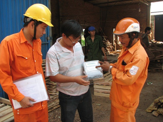 Công nhân điện lực Tuy Phước kiểm tra công tơ điện tử của khách hàng (Ảnh: PC Bình Định)