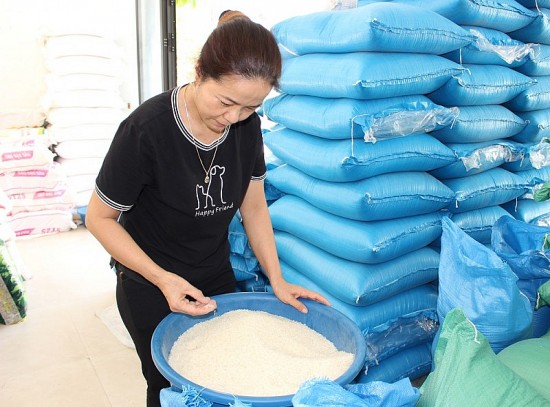 Bài 1: Giá gạo “nóng” liệu có hiện tượng đầu cơ, găm hàng?