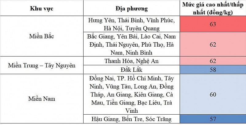 Giá heo hơi hôm nay ngày 14/8/2023: Ghi nhận mức thấp nhất 57.000 đồng/kg