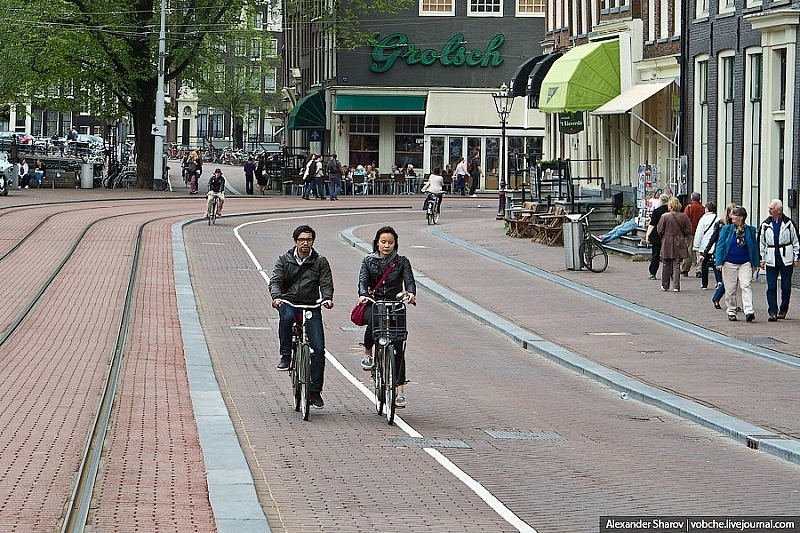 Việc đạp xe đạp tại Hà Lan tương đương việc trồng mới 54 triệu cây xanh mỗi năm