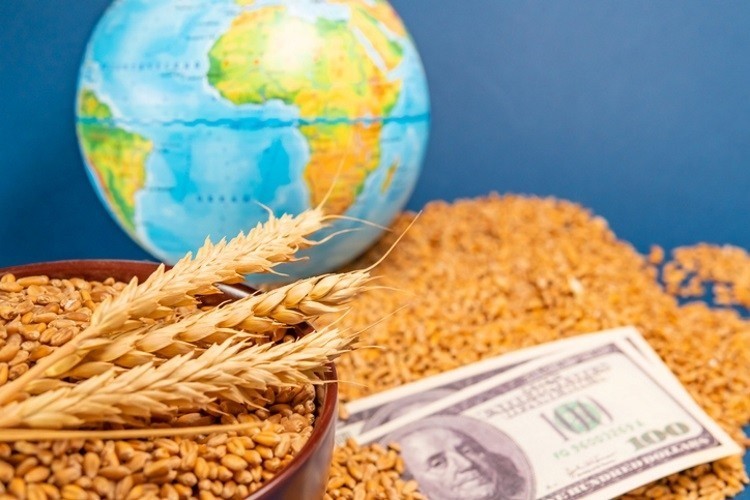 Nhận diện khó khăn từ những sự cố thiếu hụt lương thực toàn cầu
