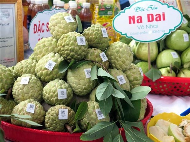 Thái Nguyên: Kết nối tiêu thụ cho quả na Võ Nhai