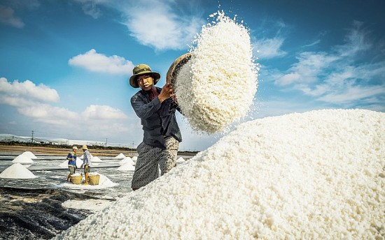 Tại sao Việt Nam có hơn 3000 km bờ biển vẫn nhập khẩu muối?