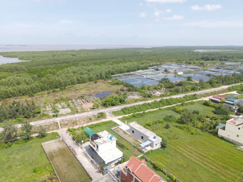 Thái Bình lên tiếng về việc xóa bỏ Khu bảo tồn thiên nhiên Tiền Hải