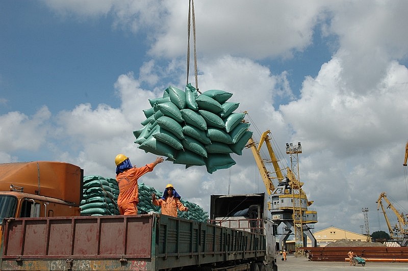 Giá gạo xuất khẩu tiếp tục tăng cao, đạt mức 628 USD/tấn
