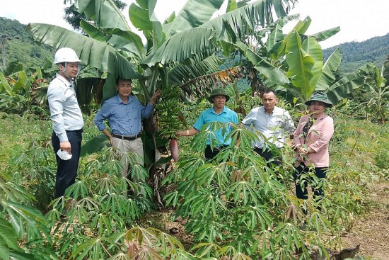 Thay đổi nếp nghĩ, cách làm trong đồng bào dân tộc thiểu số thoát nghèo bền vững