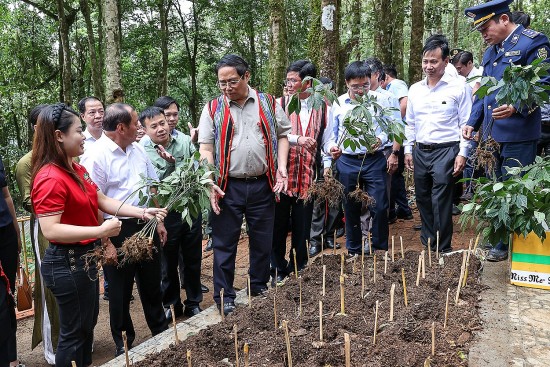 Thủ tướng: Kon Tum cần triển khai hiệu quả công tác an sinh xã hội, giảm nghèo