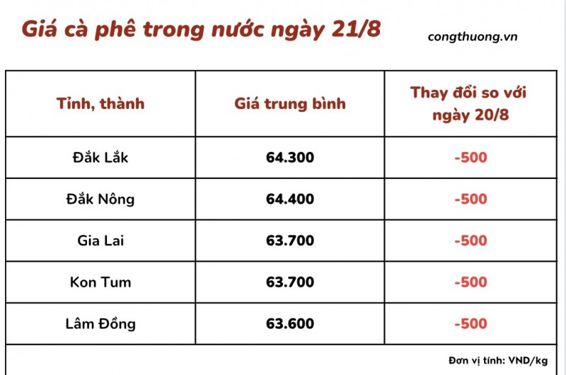 Giá cà phê hôm nay 21/8/2023: Giá cà phê trong nước đạt mức trung bình 64.000 đồng/kg