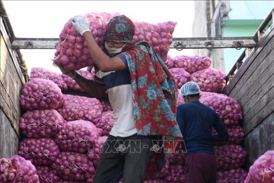 Ấn Độ áp thuế xuất khẩu 40% với hành