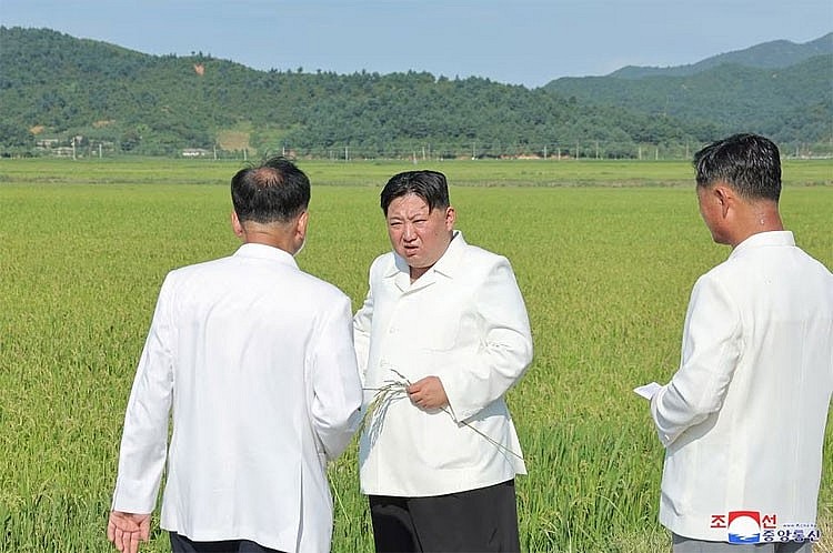 Ông Kim Jong Un thăm các cánh đồng bị bão tàn phá