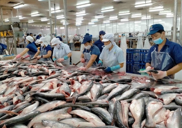 10年後巴沙魚對美國出口增長41%