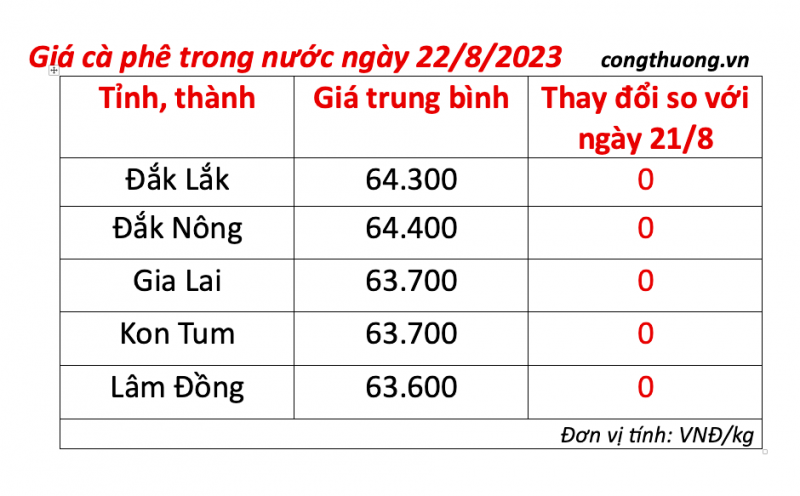 Giá cà phê hôm nay 22/8/2023: Giá cà phê trong nước đi ngang